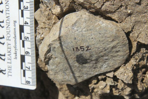 Stone Age discovery in Kenya fuels mystery of who made early tools - Vimarsana News