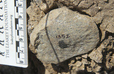 Stone Age discovery in Kenya fuels mystery of who made early tools
