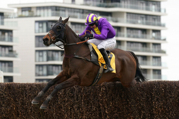 Zanza records landmark success, Funambule Sivola bounces back at Newbury - Vimarsana News