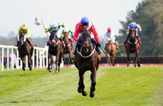 Allaho to miss Cheltenham due to abdominal bleed