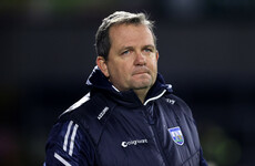 Davy Fitzgerald is 'the perfect guy' for the Waterford hurlers - Moran