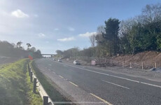 Primary school pupils made to 'illegally cross three lanes of traffic' to get to Cork school