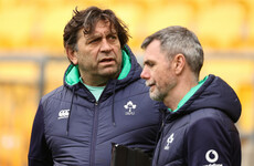 'He's had a significant influence' - The key man behind the scenes for Ireland