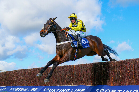 Shiskin rediscovers old verve to remind us how well the top trainers know their horses - Vimarsana News