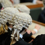 24 new judges will be appointed in Ireland this year