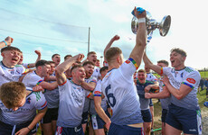 Anthony Nash: The Fitzgibbon must never be allowed to go the same way as the Railway Cup