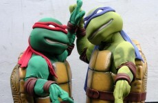 ninja turtle toys argos