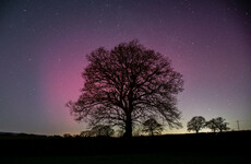 Poll: Did you spot the Northern Lights this week?