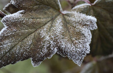 Temperatures will become 'unusually cold' next week - but it's still unclear whether it'll snow