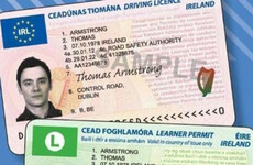 Physical driving licence could become 'history' as EU proposes digital option