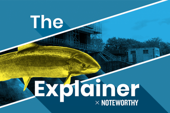 The Explainer x Noteworthy: What is the environmental cost of hydropower? - Vimarsana News