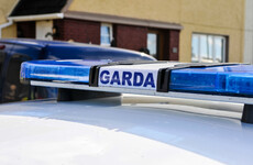Gardaí appeal for witnesses after man allegedly pulled over a car and impersonated a Garda