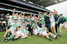 All-Ireland champions Ballyhale Shamrocks dominate club team of the year