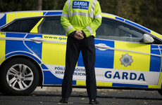 Gardaí investigating after skeletal remains found in Finglas village