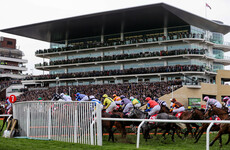 Five great storylines to look forward to at Cheltenham next week