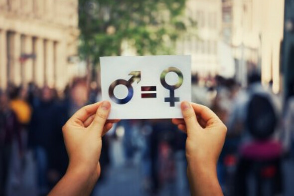 Referendum on 'women's place in the home' due to take place this November - Vimarsana News