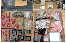 Two arrested and €27,000 worth of drugs seized during raids in Co Wicklow