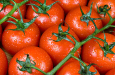 Aldi in UK to lift restrictions on fresh vegetables as shortages ease