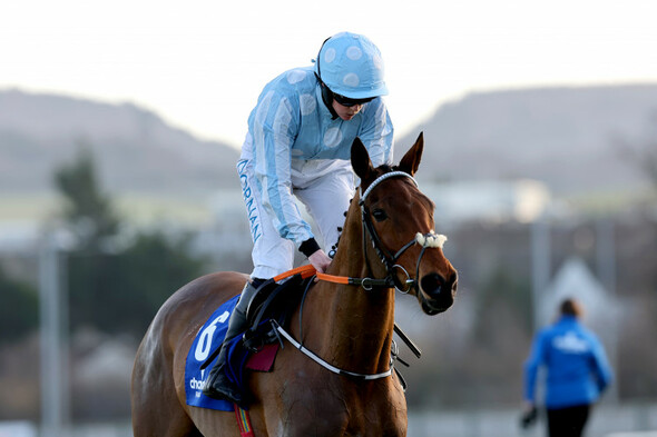 Blackmore hopes Honeysuckle can have 'one more big day' at Cheltenham - Vimarsana News