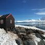 Recruits wanted for five month programme counting penguins in Antarctica