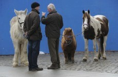 City Council plans to limit Smithfield horse fair to twice a year