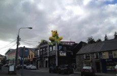 Snapshot: Winnie the Pooh backing Donegal ahead of All-Ireland showdown