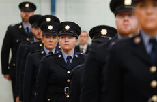 The Irish diaspora and minority groups here to be key focus of new garda recruitment drive