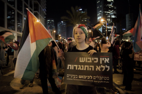 Hannah McCarthy: What type of democracy are Israelis actually fighting for? - Vimarsana News