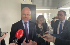 HSE review to allow GPs prescribe Cariban drug for pregnant women continuing, says minister