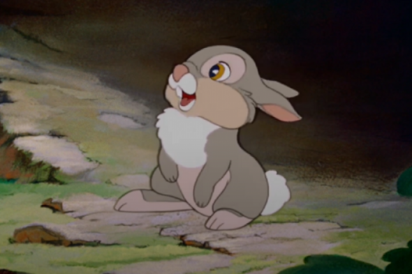 Quiz: How well do you know these famous bunnies? - Vimarsana News