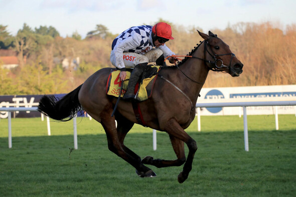 Elliott keen on 'one last hurrah' at Aintree for Russell with Galvin - Vimarsana News