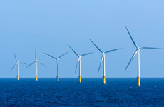 Govt must invest in ports in order to build offshore wind energy projects, report finds