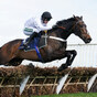 Constitution Hill puts the seal on flawless season with inevitable Aintree Hurdle win