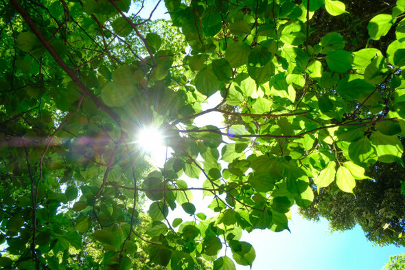 Warm weather to continue after temperatures passed 20 degrees yesterday - Vimarsana News