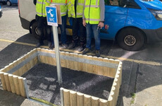 Public toilet for dogs installed in Dublin