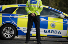 Gardaí investigating skeletal remains found on building site in north Dublin