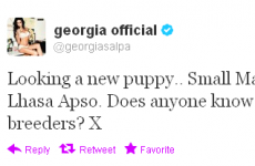 Tweet Sweeper: Georgia Salpa is looking for a new puppy
