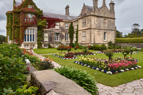 Victorian walled gardens and tropical greenhouses: 6 stunning Irish botanical sites to visit - Vimarsana News