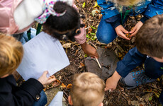 Children's assembly on biodiversity calls on Ireland to 'treat the Earth like family'