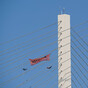 Just Stop Oil protesters jailed for up to three years for UK bridge protest