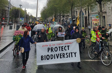 Extinction Rebellion stages 'slow cycle' in Dublin city calling for action on biodiversity loss