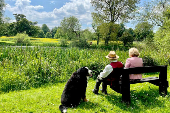 'A very much loved dog': President Higgins pays tribute following death of his dog Bród - Vimarsana News