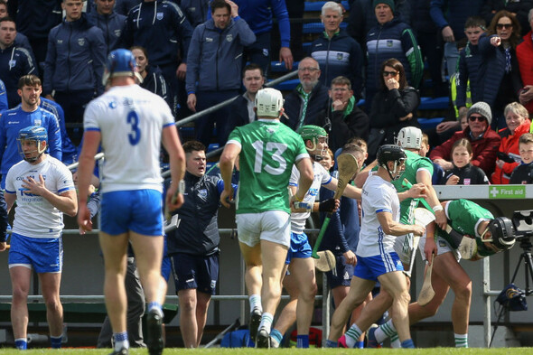 Shane Dowling: 'Somebody running from the dugout to hit a player is absolutely disgusting' - Vimarsana News