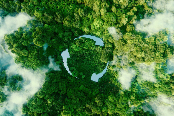 'This programme has the power to change industry and make a real difference' - Applications open for the Origin Green Ambassador programme - Vimarsana News
