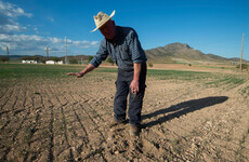 Spain set for record-breaking April temperatures as farmers grapple with severe drought