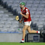 Cunningham winner for Cork knocks out Limerick, Tipperary set up semi-final with Clare