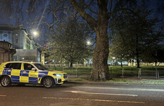 Man held under mental health laws over suspected shotgun cartridges at Buckingham Palace