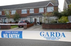 Man arrested in connection with Clonsilla stabbing