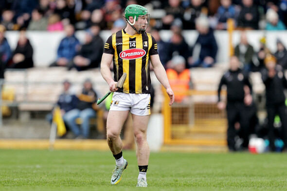 Ravenous Cats polish off Antrim without fuss - Vimarsana News