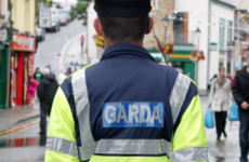 Opinion: New legislation reforming garda and oversight bodies isn't in line with best practice